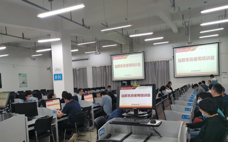 解析站群管理系统的高效运作与未来趋势